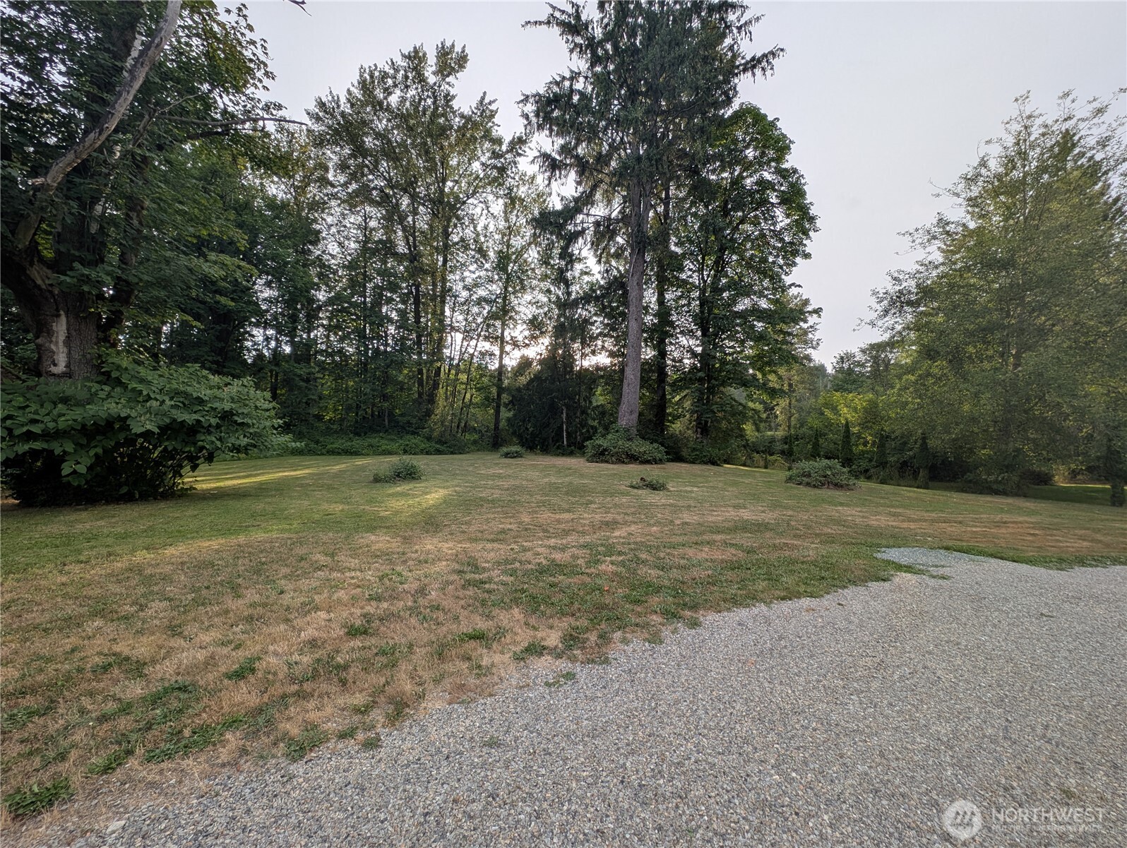 0 Trout Farm Road Sultan, WA 98294 - Photo 11 of 11 a view of a field with trees in background