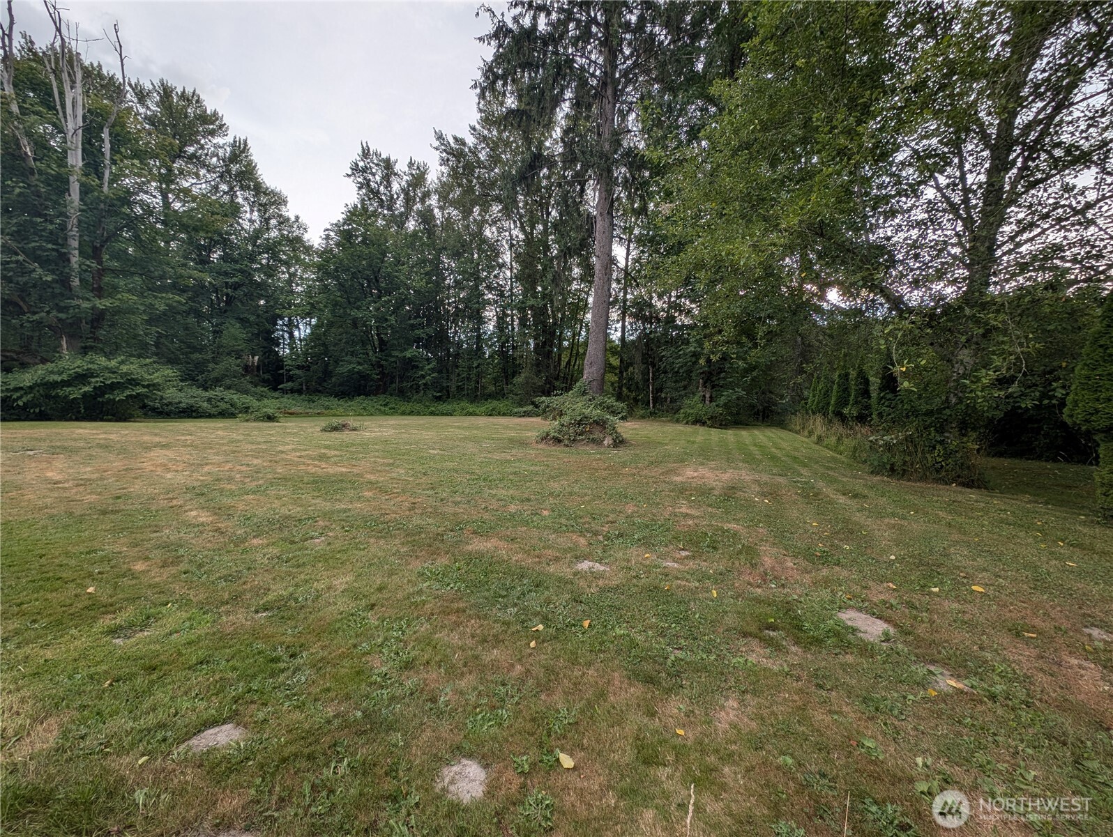 0 Trout Farm Road Sultan, WA 98294 - Photo 5 of 11 a view of a field with trees in the background