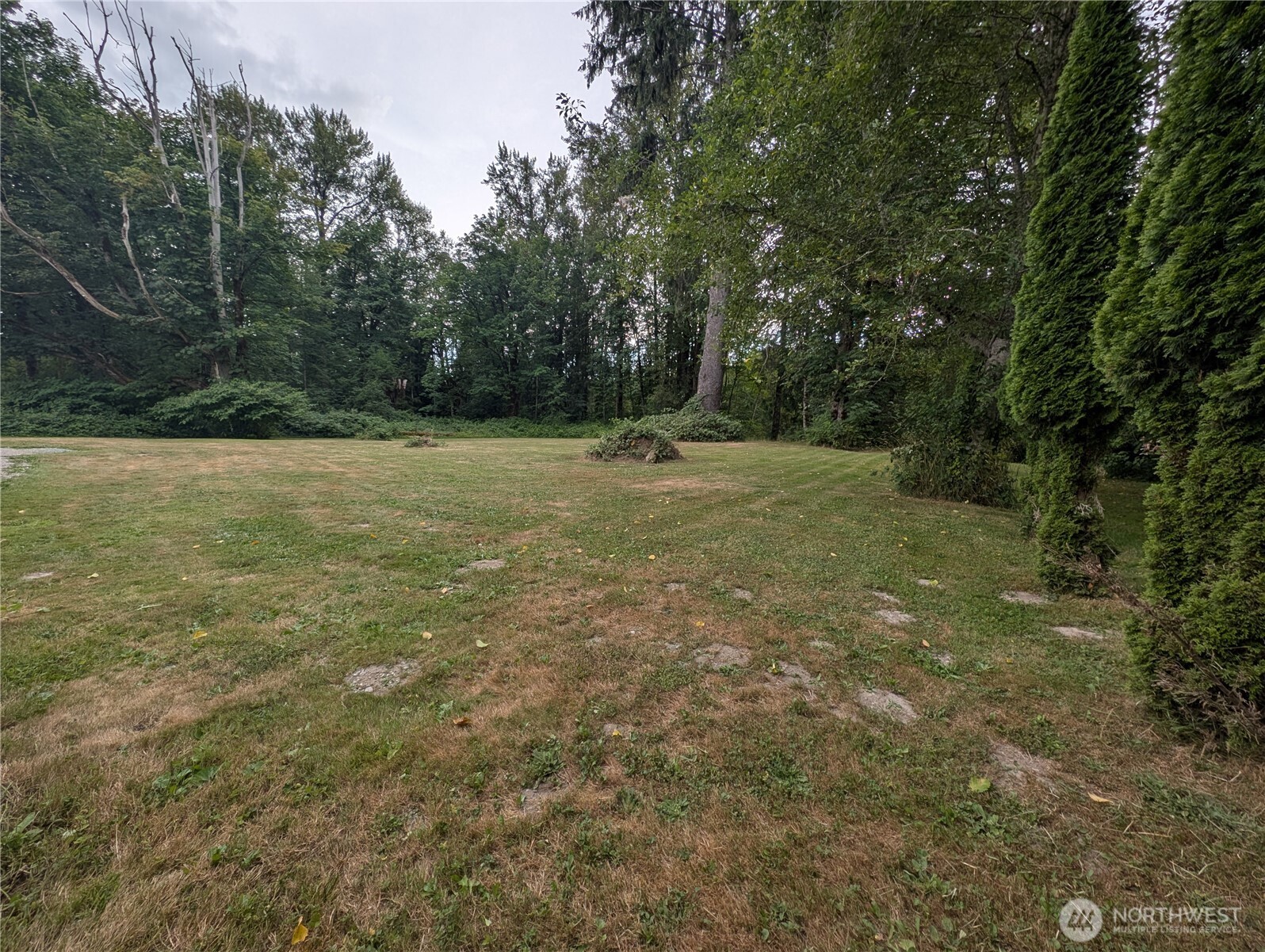 0 Trout Farm Road Sultan, WA 98294 - Photo 6 of 11 a view of field with trees in the background