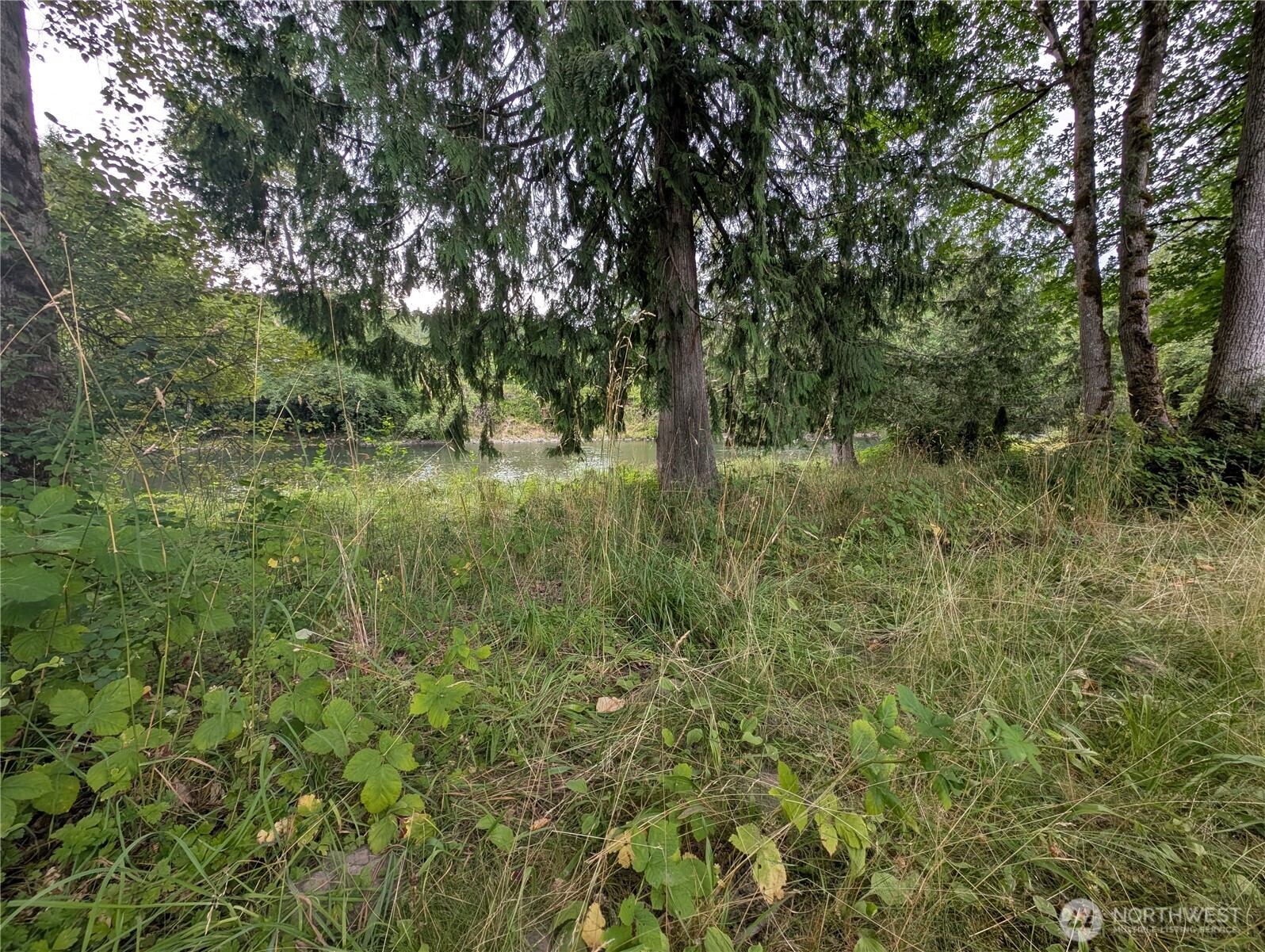 0 Trout Farm Road Sultan, WA 98294 - Photo 8 of 11 a view of a lush green space