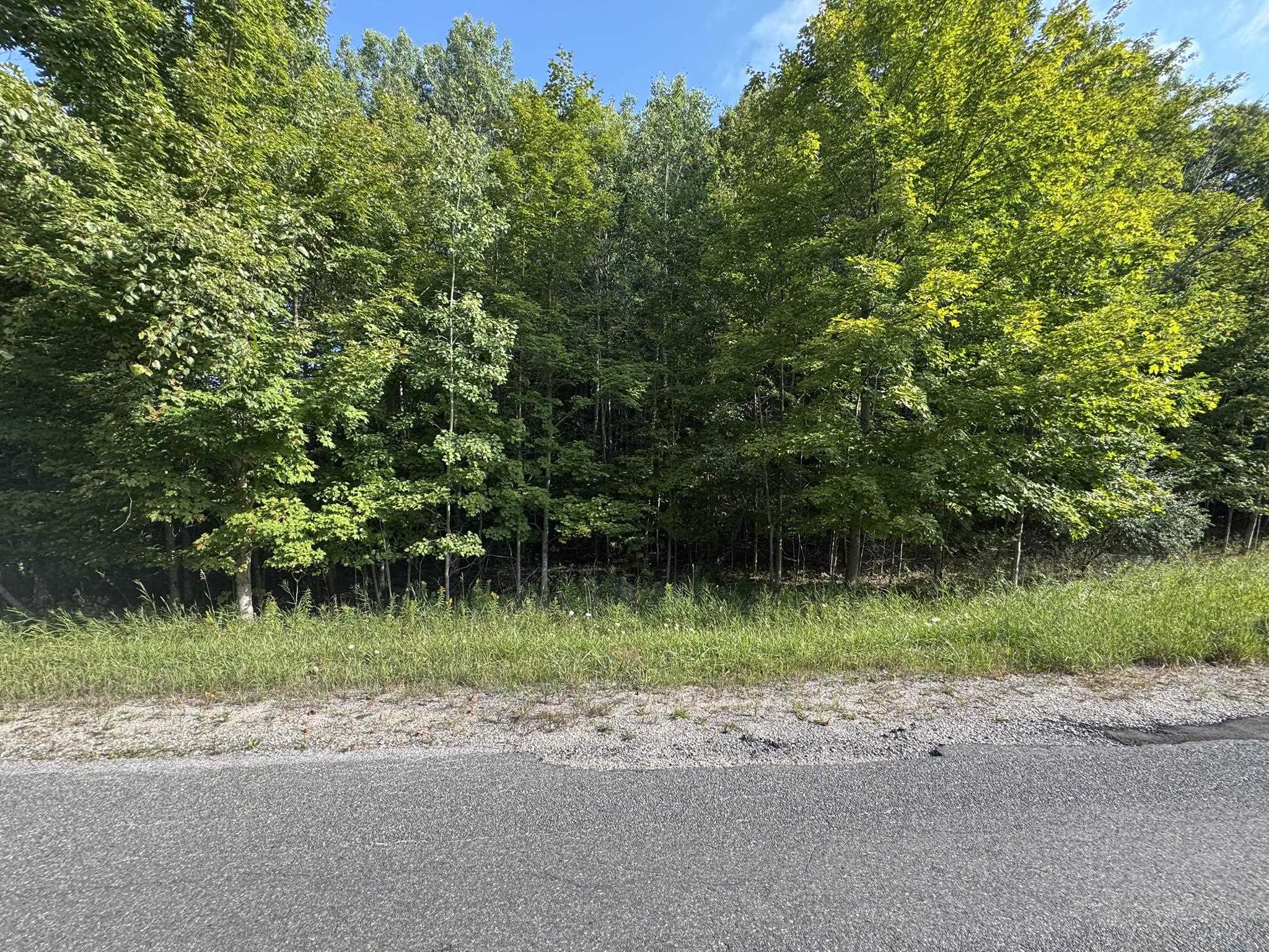 Lot 4 East Old Mountain Road, Unit LOT: 4 Cedar, MI 49621 - Photo 4 of 12