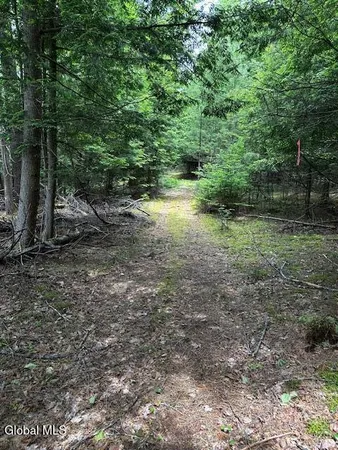 $83,500 | 38 Granite Ridge Road, Chester, NY 12817