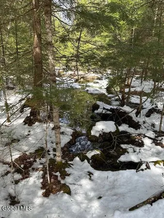 $83,500 | 38 Granite Ridge Road, Chester, NY 12817