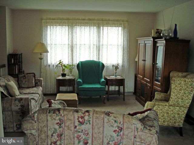 435 Matamoras Road Halifax, PA 17032 - Photo 2 of 12