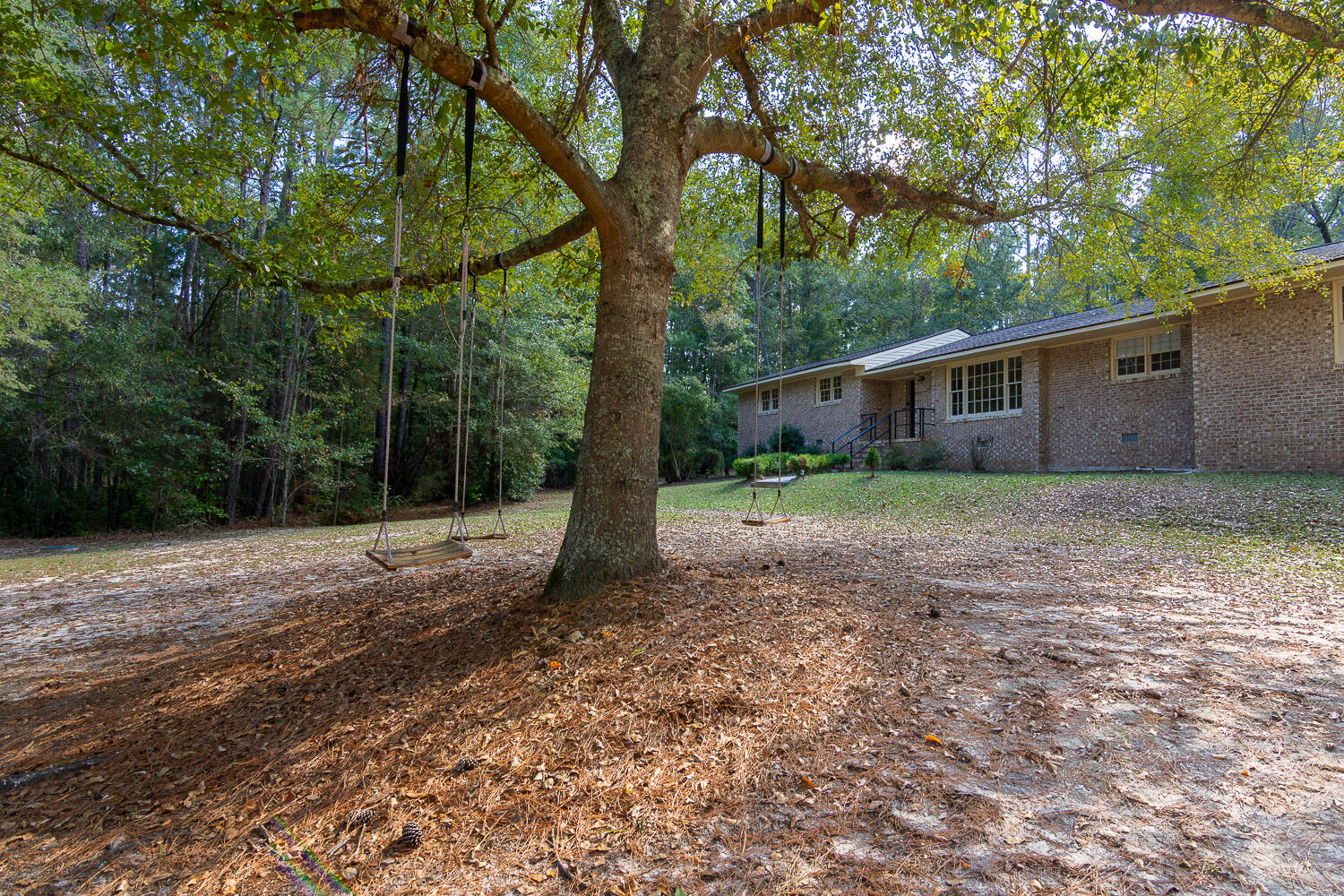 6554 George Walton Drive Harlem, GA 30814 - Photo 3 of 41 Sweeping oak tree with swings