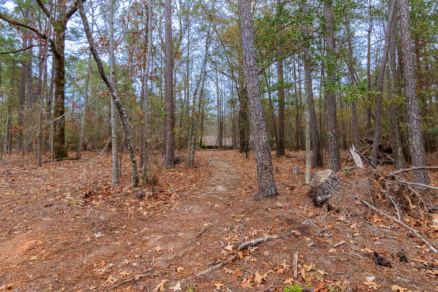 6554 George Walton Drive Harlem, GA 30814 - Photo 40 of 41 6554 George Walton Updates-17