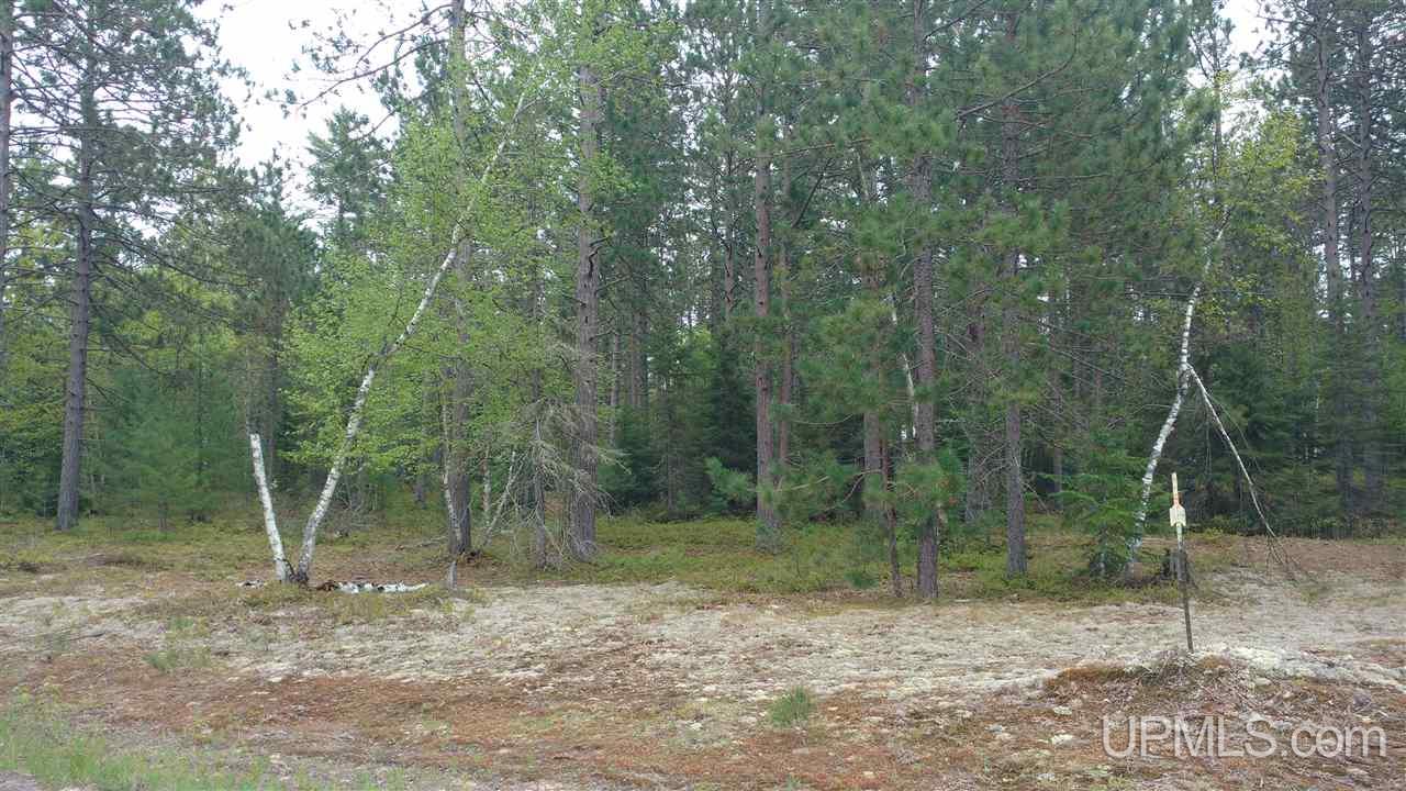 Tbd Little Rice Lake Road, Unit 57 Lake Linden, MI 49945 - Photo 3 of 9