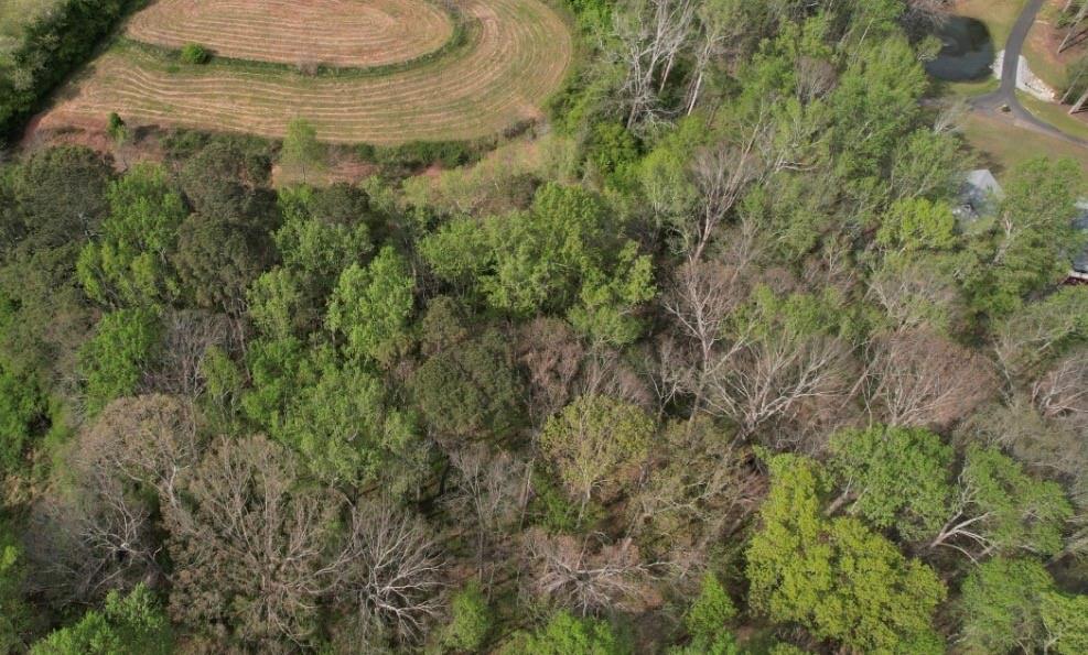 0 Franklin Goldmine 6.56 Acres Road Cumming, GA 30028 - Photo 4 of 5