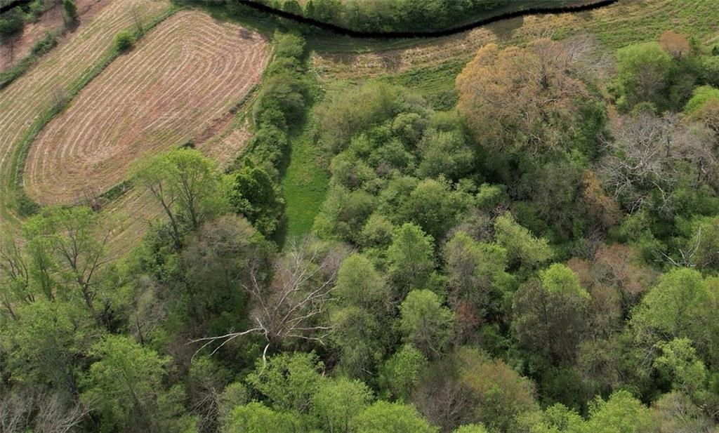 0 Franklin Goldmine 6.56 Acres Road Cumming, GA 30028 - Photo 5 of 5