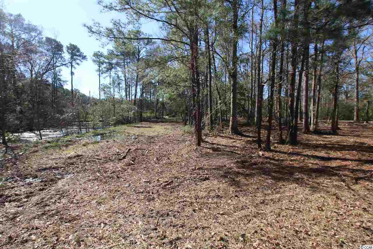 605 Fox Hollow Road Murrells Inlet, SC 29576 - Photo 2 of 8
