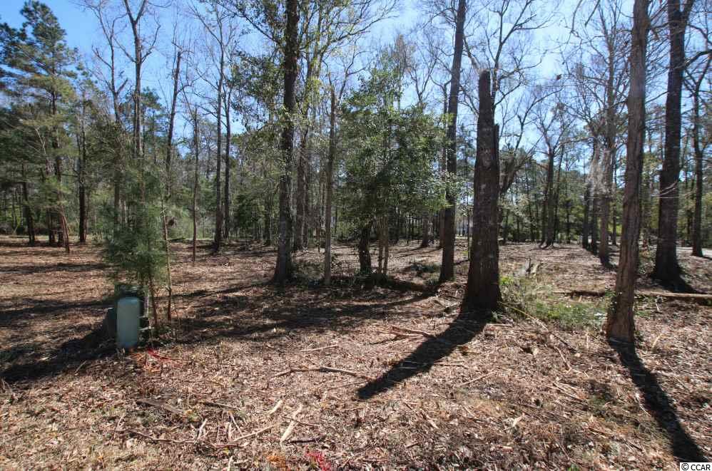 605 Fox Hollow Road Murrells Inlet, SC 29576 - Photo 3 of 8
