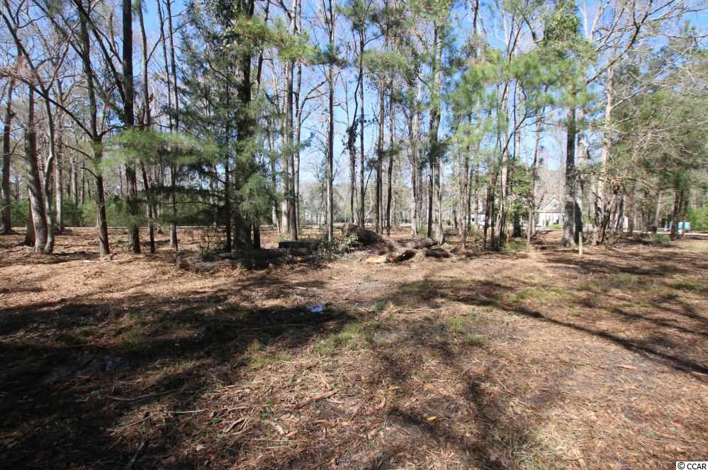 605 Fox Hollow Road Murrells Inlet, SC 29576 - Photo 5 of 8