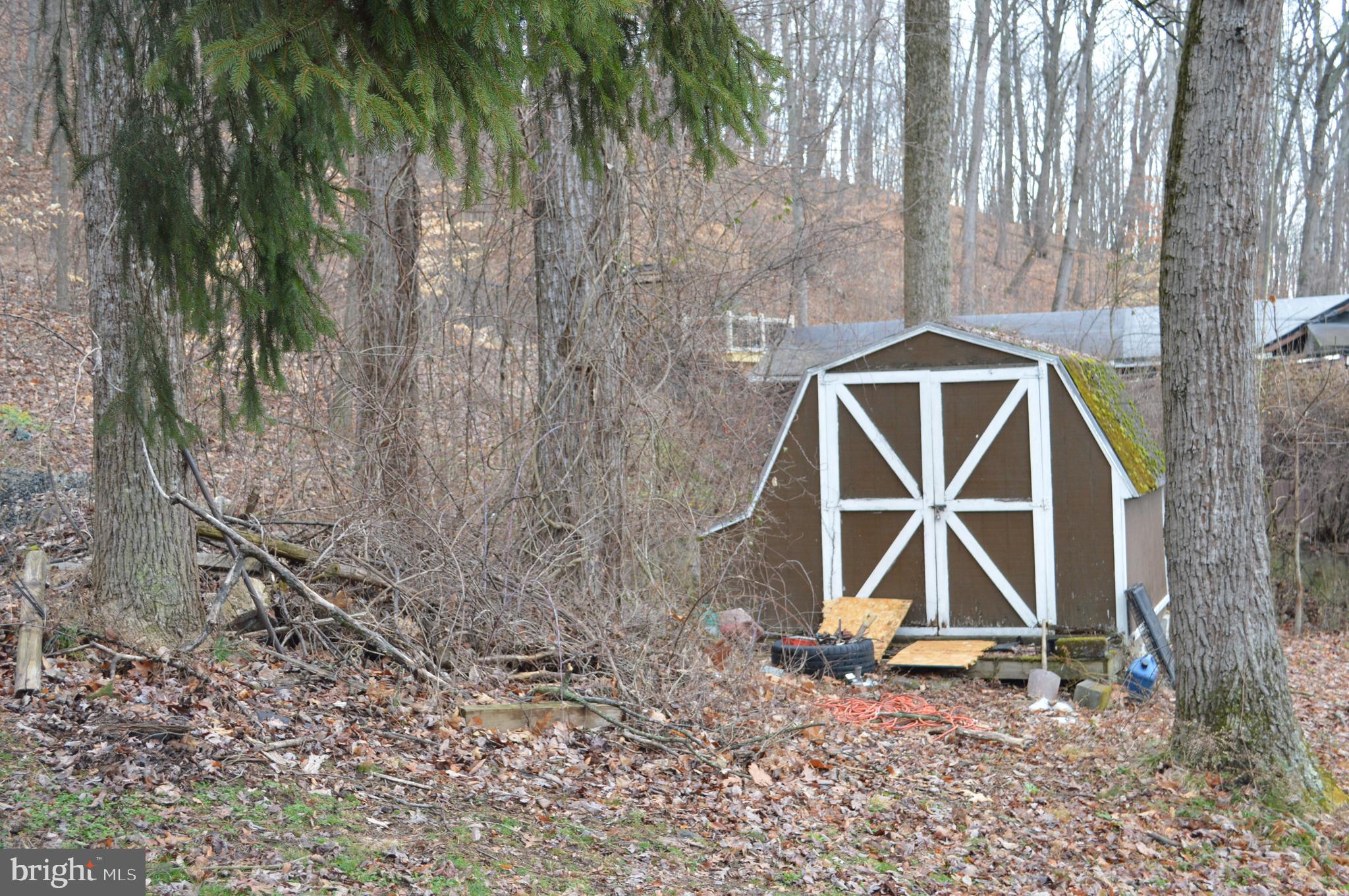 16 Mountain Side Road Dillsburg, PA 17019 - Photo 41 of 41 Shed