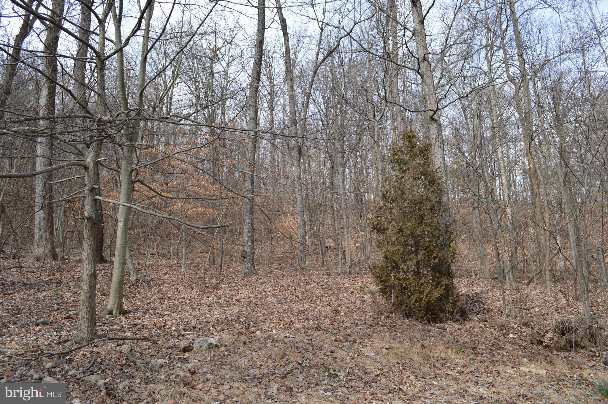 16 Mountain Side Road Dillsburg, PA 17019 - Photo 6 of 41 Rear Yard