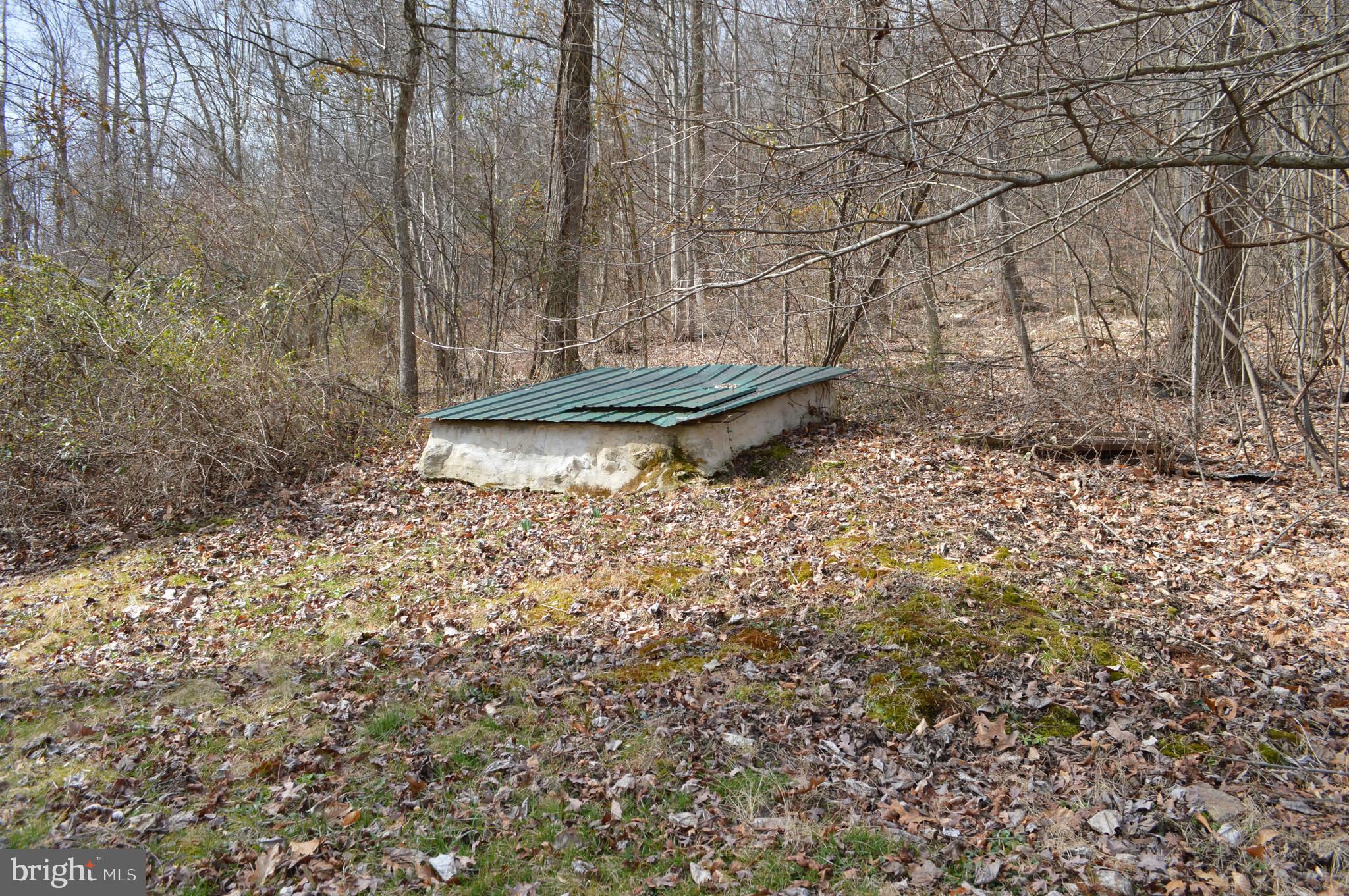 16 Mountain Side Road Dillsburg, PA 17019 - Photo 8 of 41 Community well