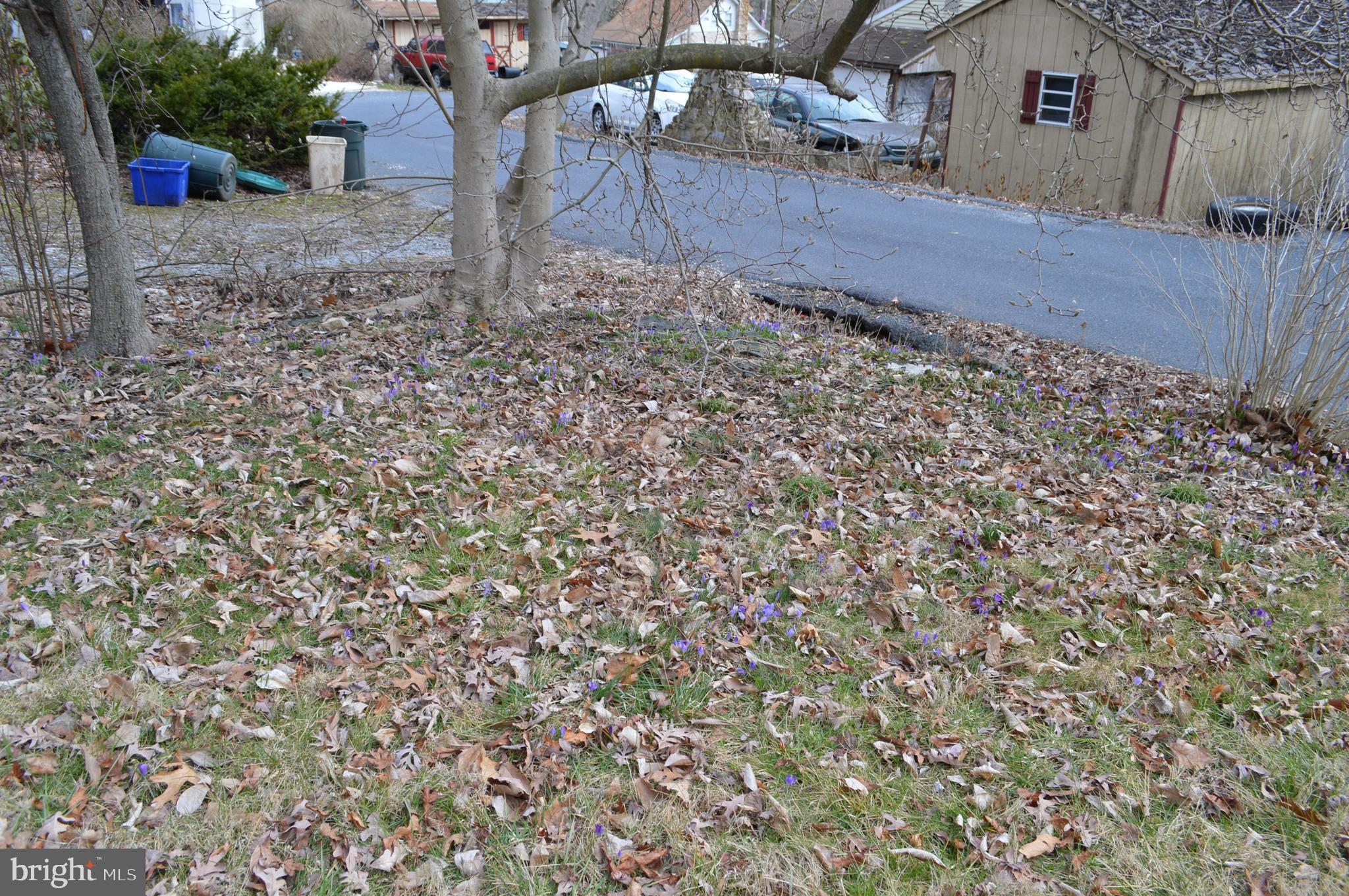 16 Mountain Side Road Dillsburg, PA 17019 - Photo 9 of 41 Signs of Spring