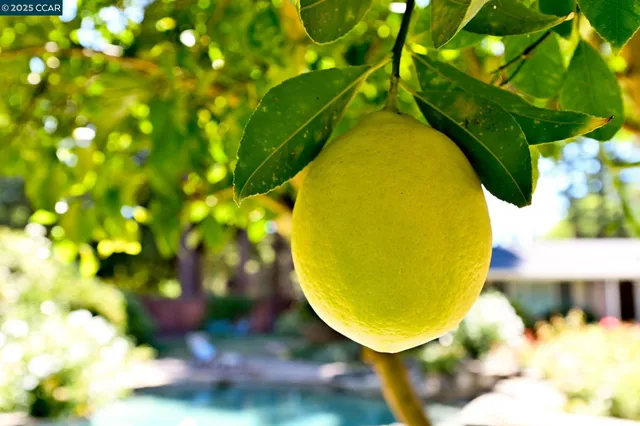 $15,000 | 144 Irongate Court, Alamo, CA 94507