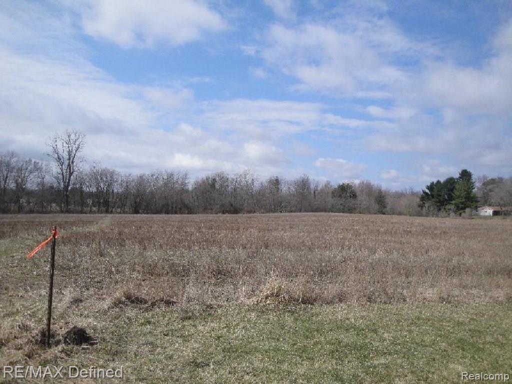 0 Le Valley Road Columbiaville, MI 48421 - Photo 6 of 8