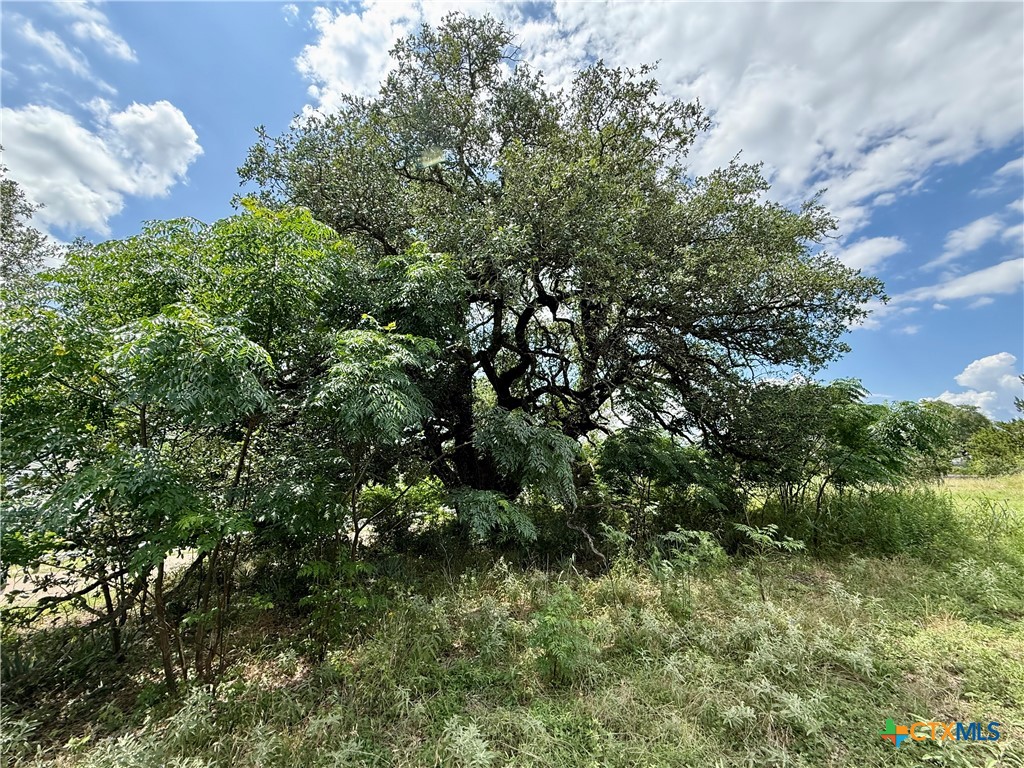 731 Santa Maria Road Salado, TX 76571 - Photo 15 of 15