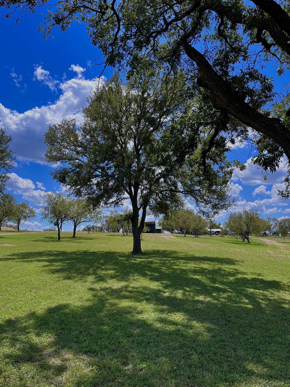 175 Elmer Road Llano, TX 78643 - Photo 5 of 25 a big yard with lots of tress in it