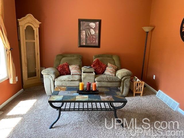 8214 W Pine Ridge Road Manistique, MI 49854 - Photo 16 of 44
