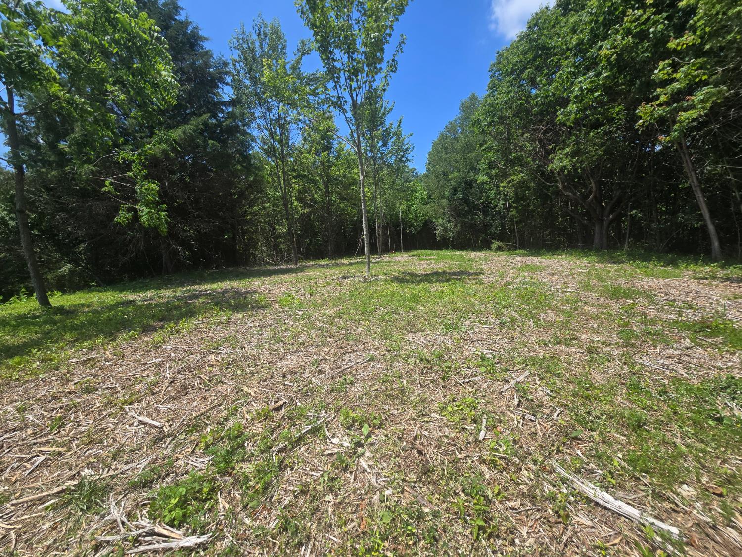 3 Stacy Road Metamora, IN 47030 - Photo 8 of 10