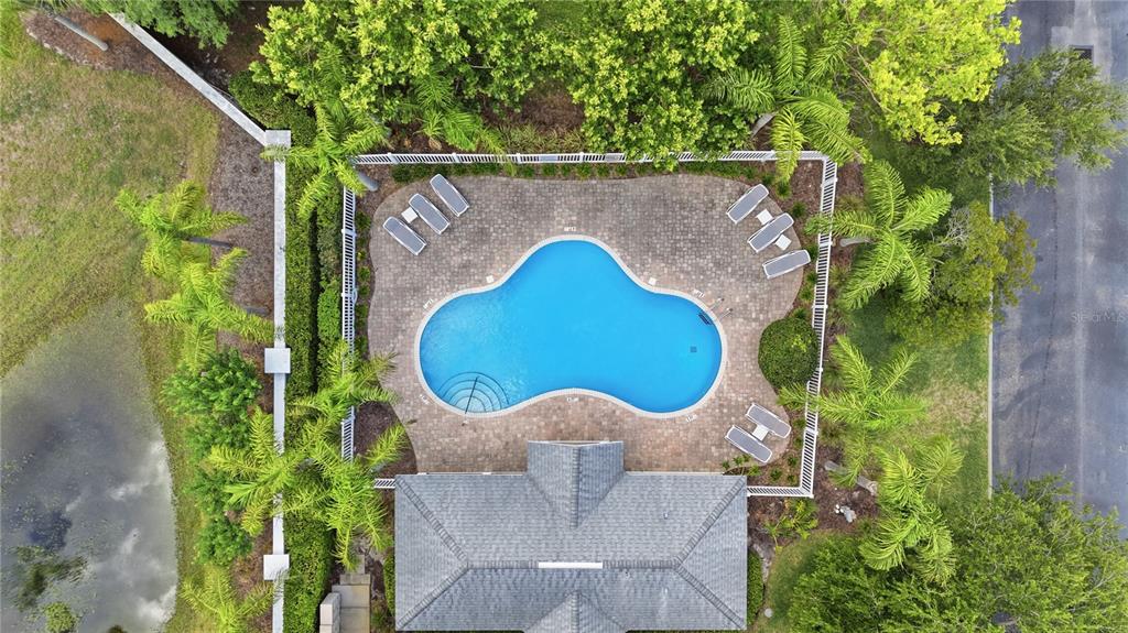 497 Harbor Ridge Drive Palm Harbor, FL 34683 - Photo 41 of 52