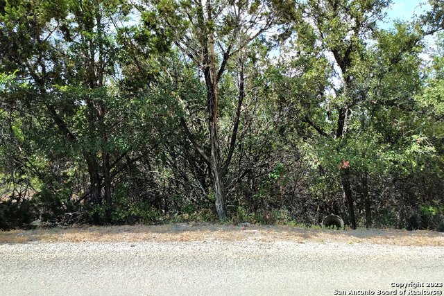 1146 Zane Grey Lane Spring Branch, TX 78070 - Photo 2 of 5