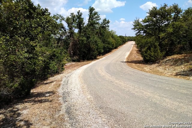 1146 Zane Grey Lane Spring Branch, TX 78070 - Photo 3 of 5