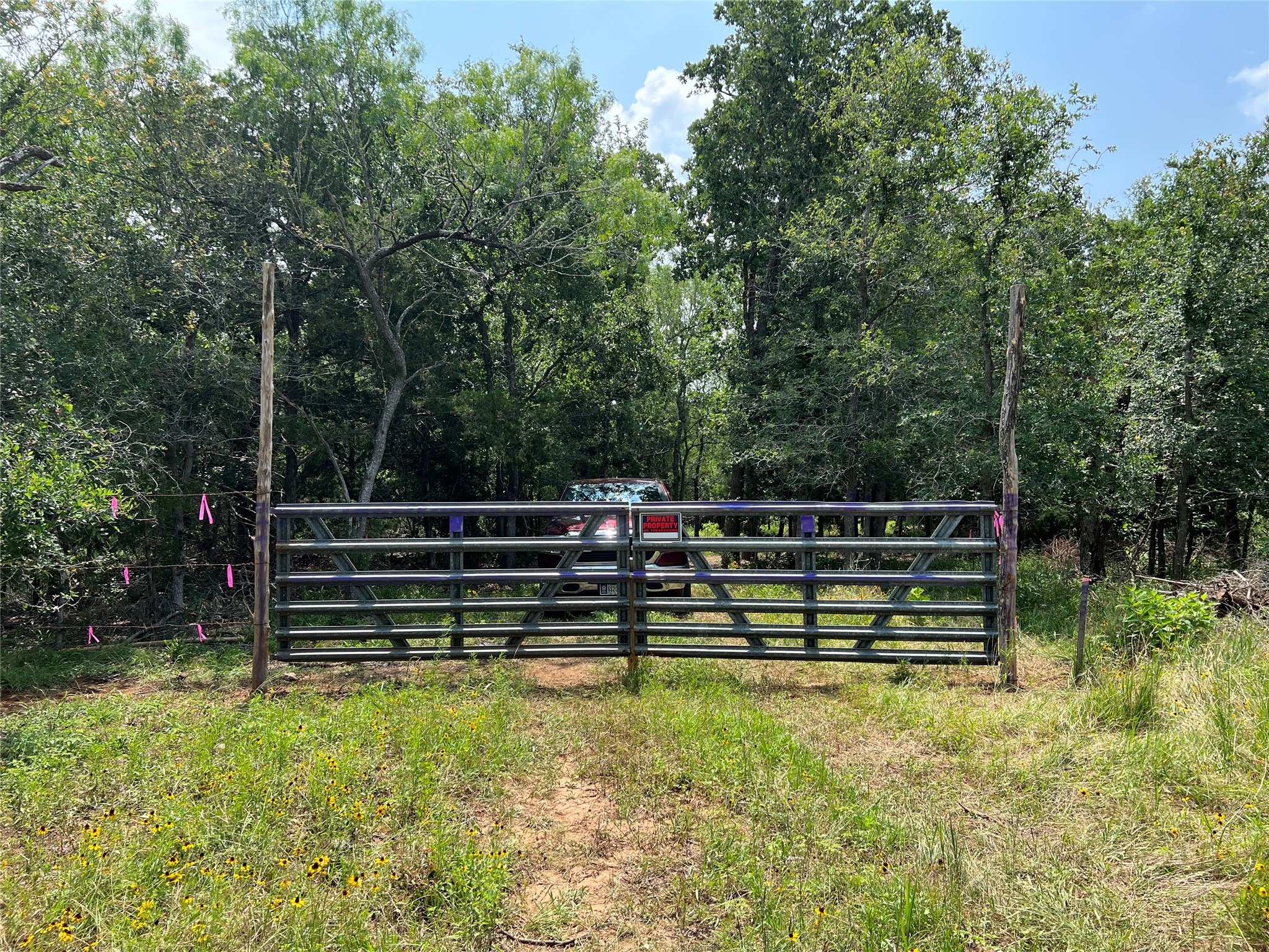 a view of a deck with a bench and trees