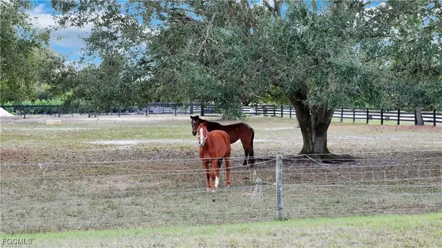 a view of a house with a yard porch and sitting area