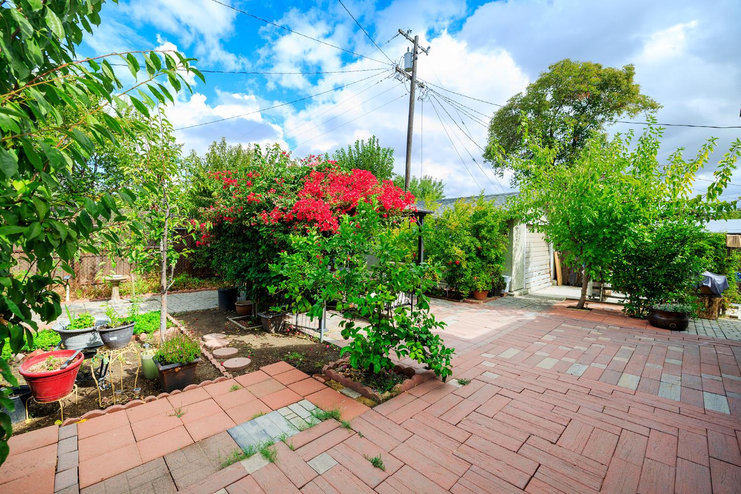 421 East 8th Street Stockton, CA 95206 - Photo 19 of 20 a garden with flowers and flowers