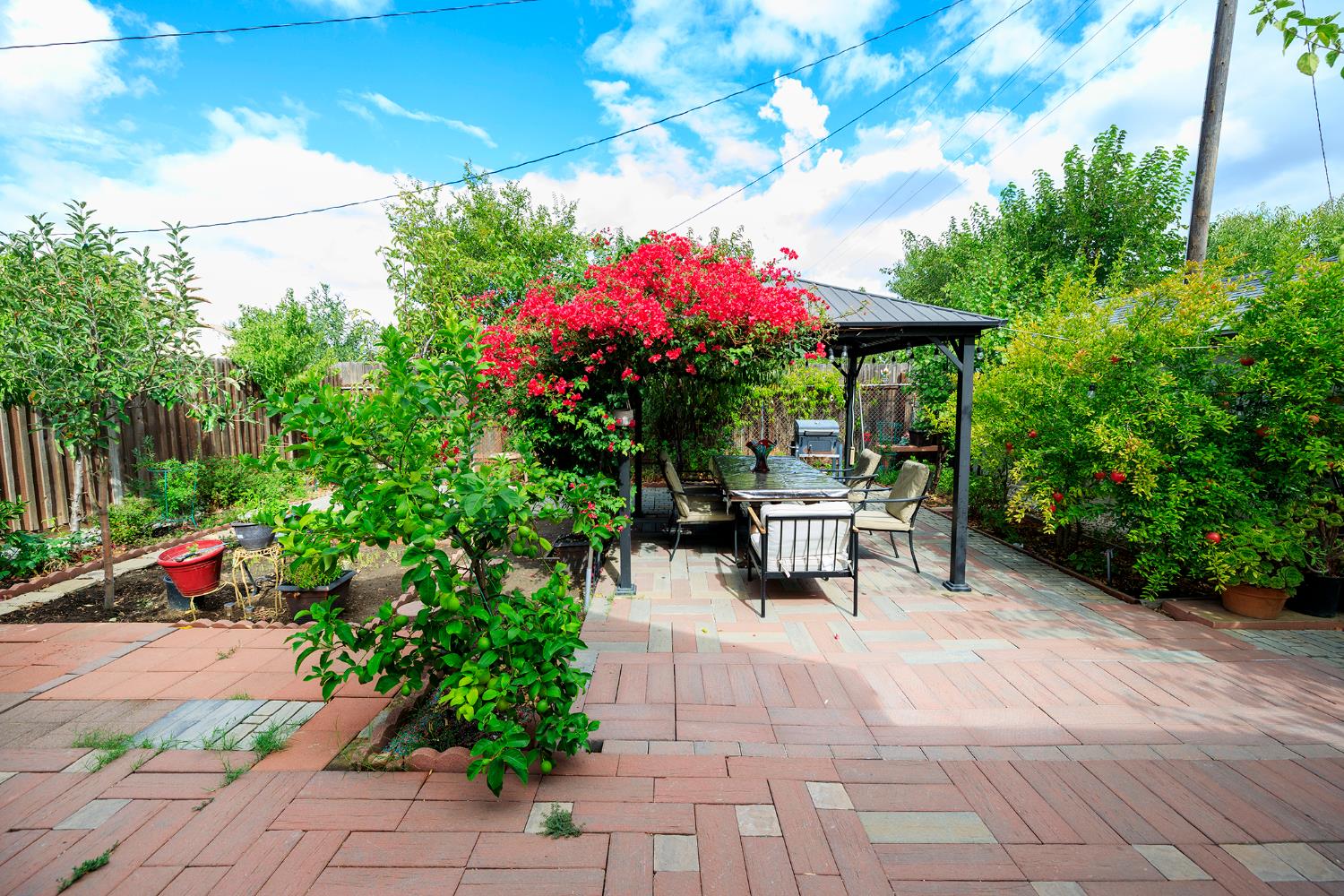 421 East 8th Street Stockton, CA 95206 - Photo 20 of 20 a garden with a bench and some plants