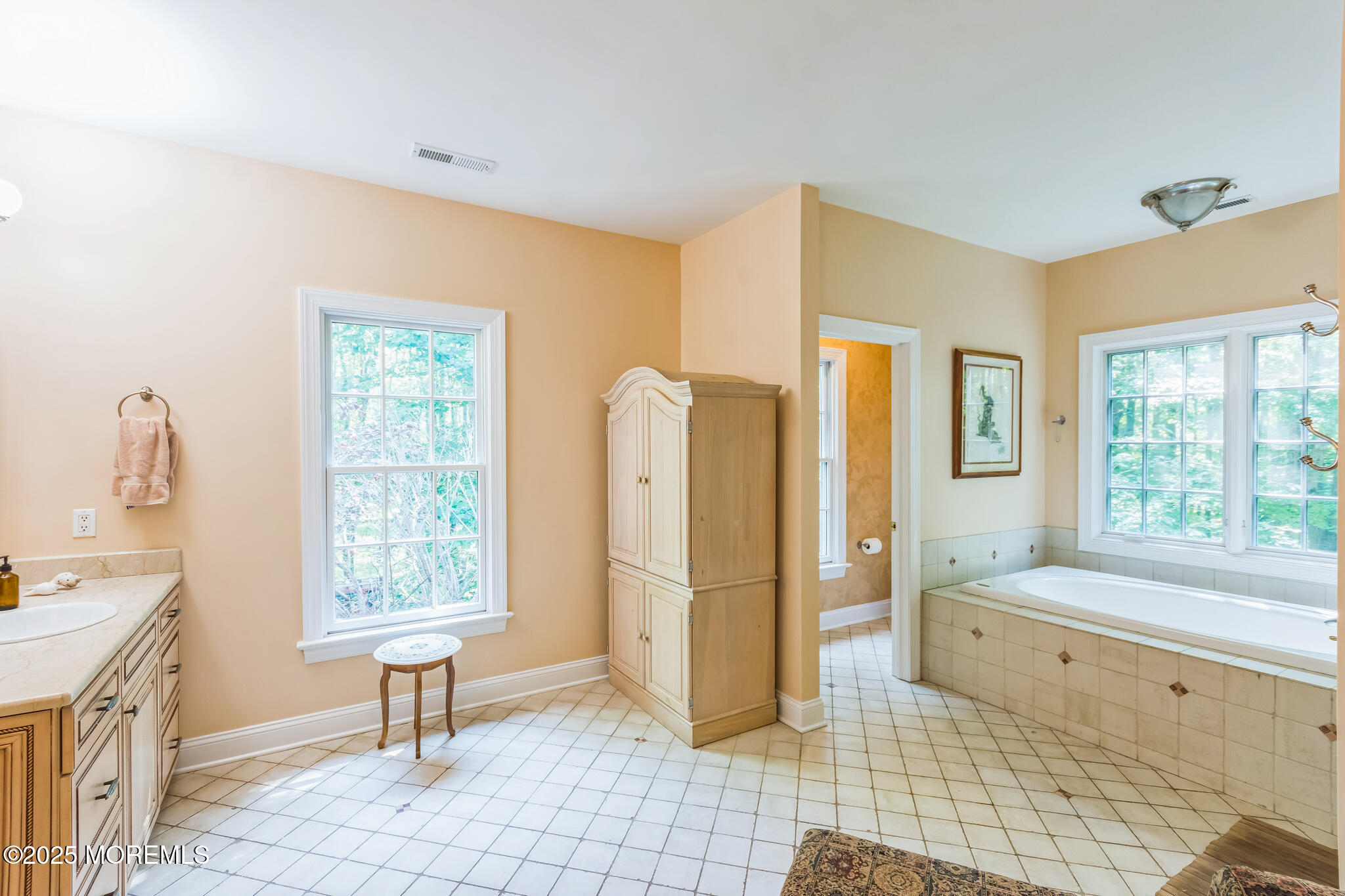 458 Cherry Hill Road Princeton, NJ 08540 - Photo 39 of 50 a spacious bathroom with a sink a mirror and a bathtub