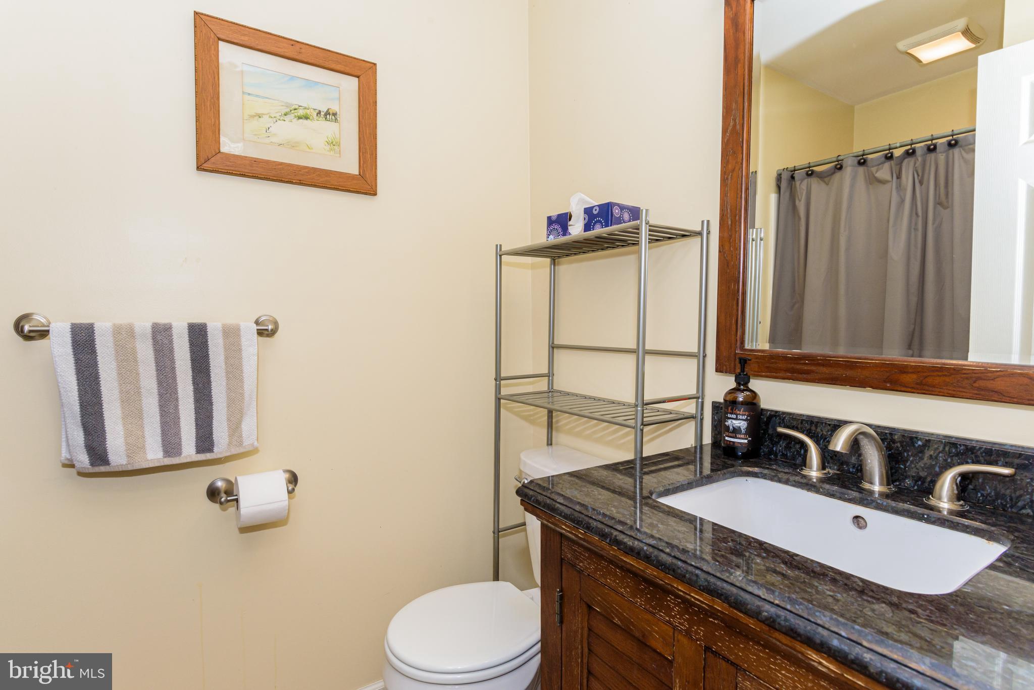 10249 Friendship Road Berlin, MD 21811 - Photo 28 of 44 Bathroom #2