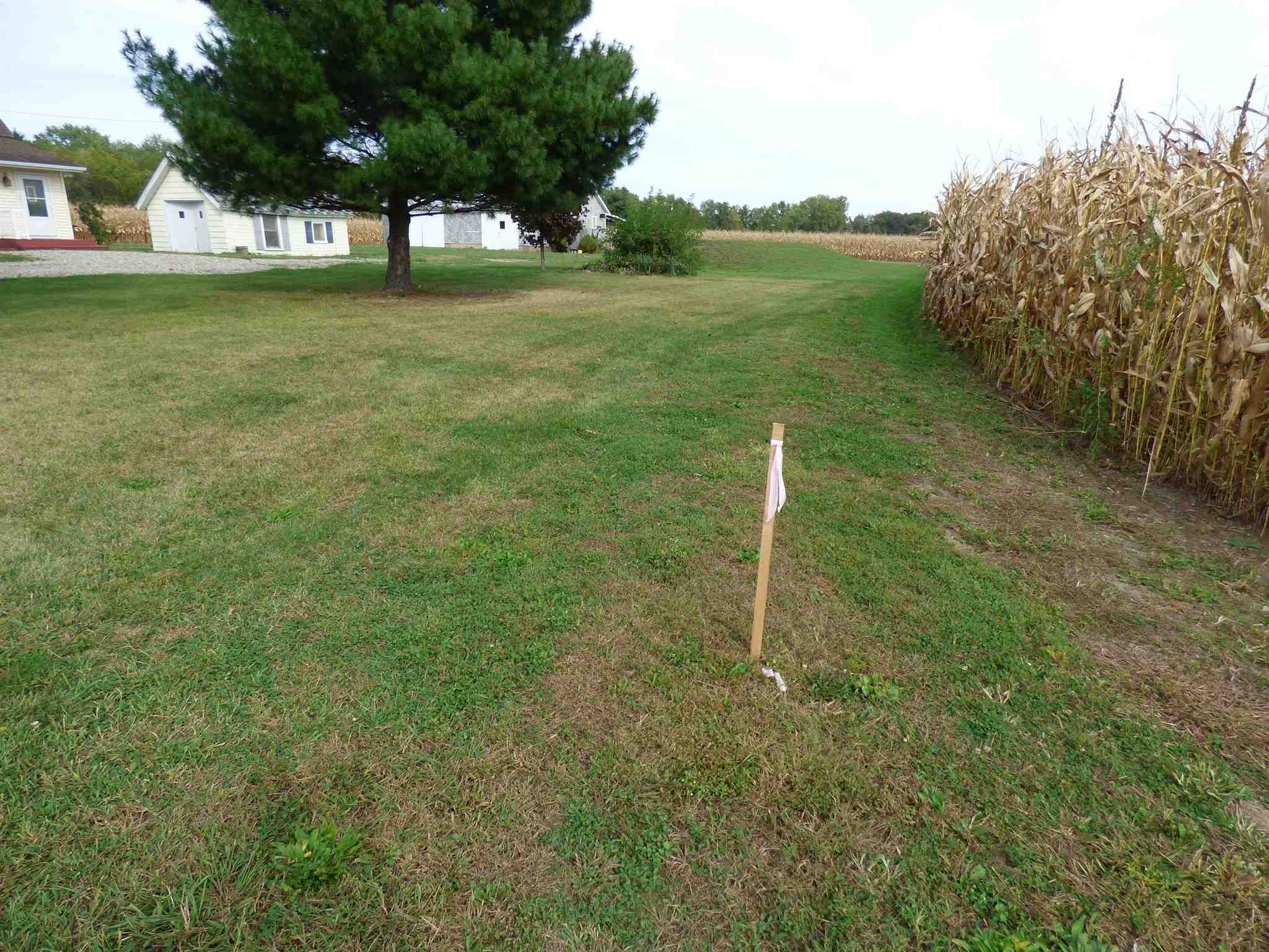 56700 Spirea Road New Carlisle, IN 46552 - Photo 21 of 23 Gallery Image 21