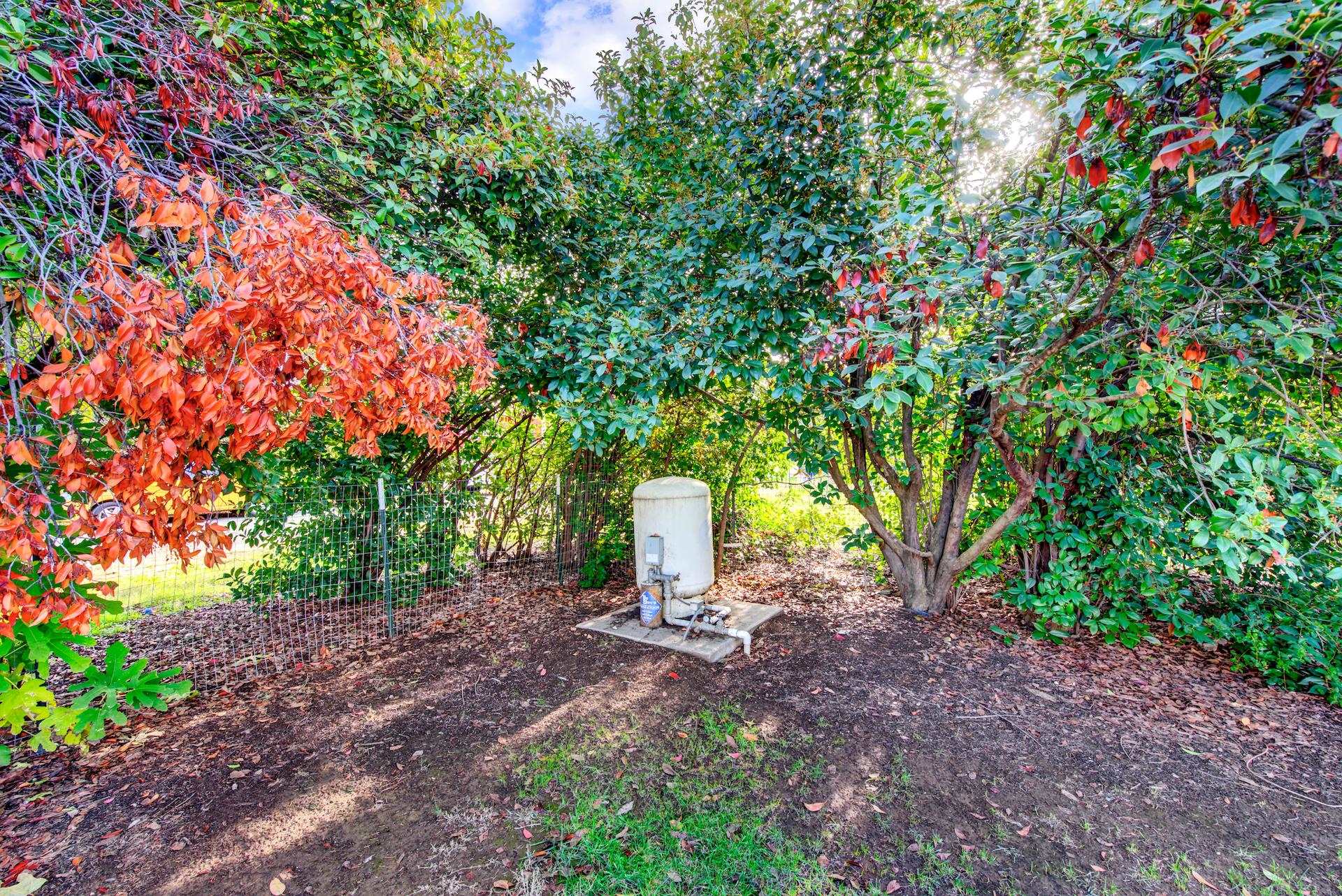 9885 Ashurst Street Proberta, CA 96078 - Photo 56 of 58