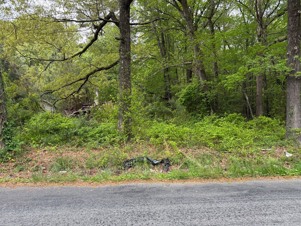 30220 Paige Fisher Road, Unit 8 Oak Hall, VA 23416 - Photo 2 of 3