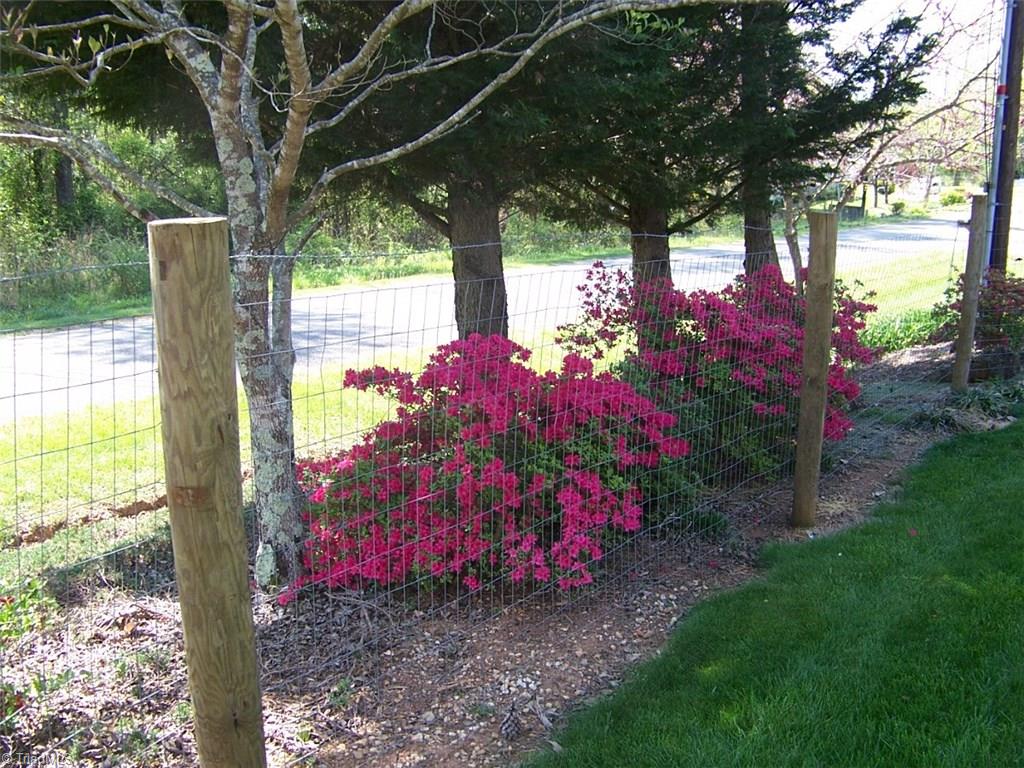 202 Webster Road Mount Airy, NC 27030 - Photo 3 of 26 Gallery Image 3