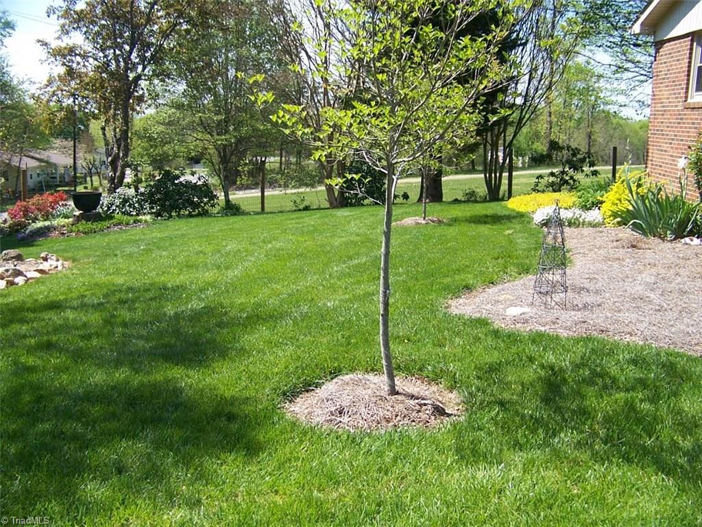 202 Webster Road Mount Airy, NC 27030 - Photo 24 of 26 Gallery Image 24