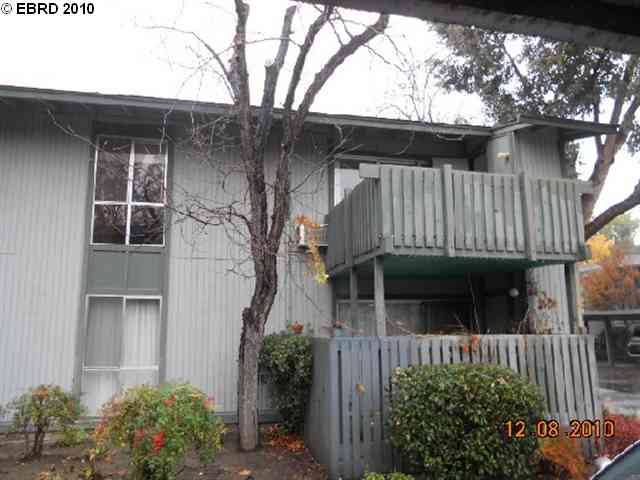 a view of a house with a small yard plants and large tree