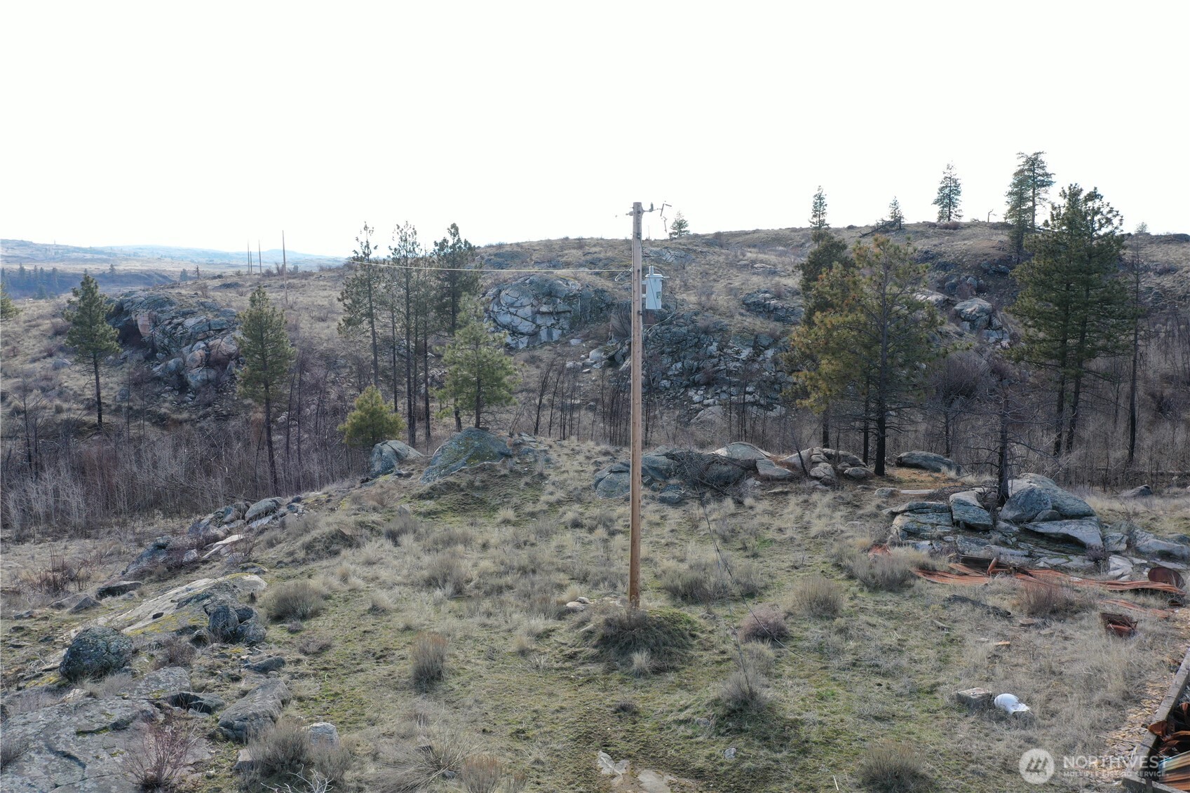 372 C Cameron Lake Loop Road Okanogan, WA 98840 - Photo 6 of 20 a view of a dry field with trees in the background