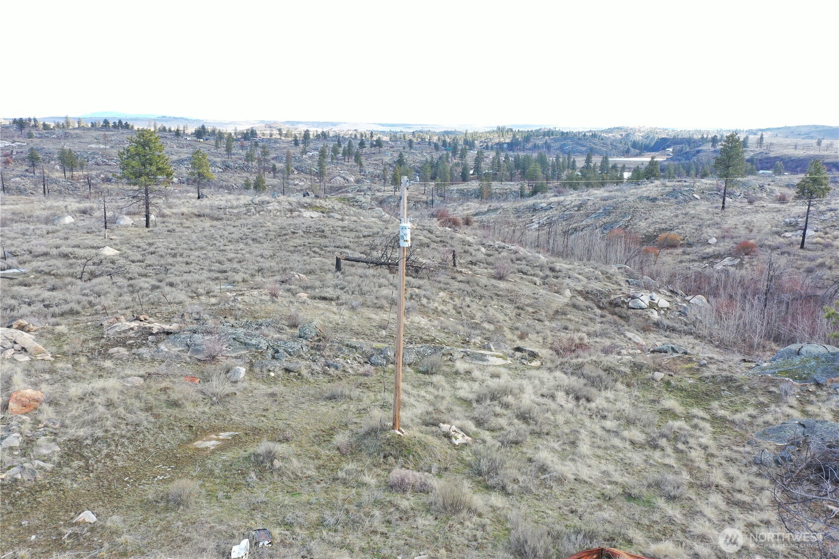 372 C Cameron Lake Loop Road Okanogan, WA 98840 - Photo 7 of 20 a view of a dry yard with trees