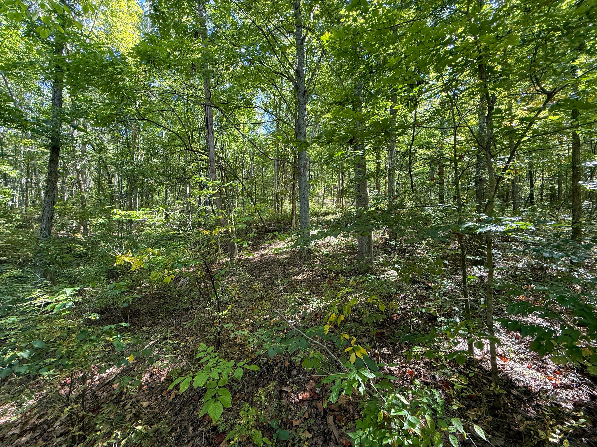 10008 Riddles Run Road Union, KY 41091 - Photo 42 of 50 Gallery Image 42