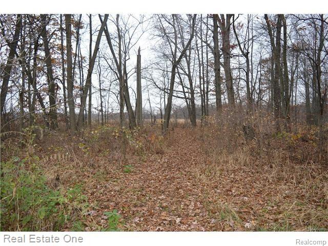 Par B Musson Road Howell, MI 48855 - Photo 12 of 28