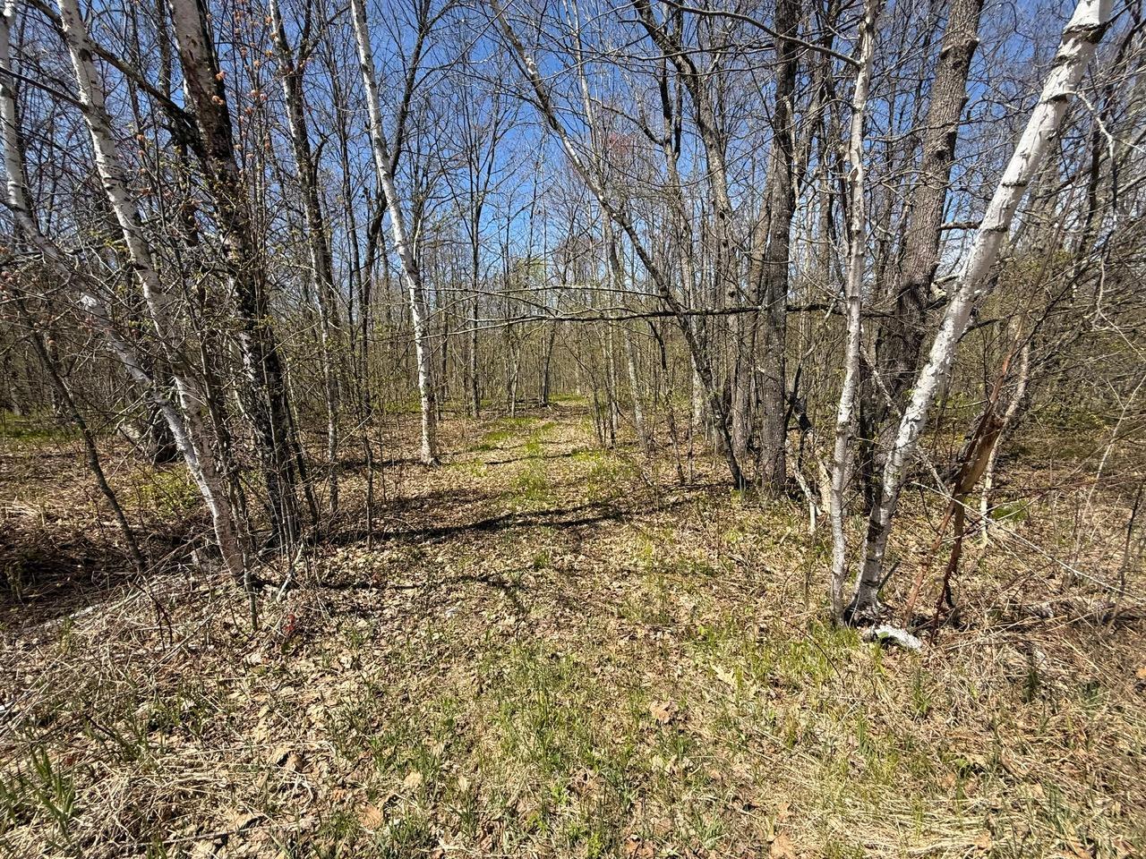 N10439 Tranus Lake Road Springbrook, WI 54875 - Photo 7 of 58