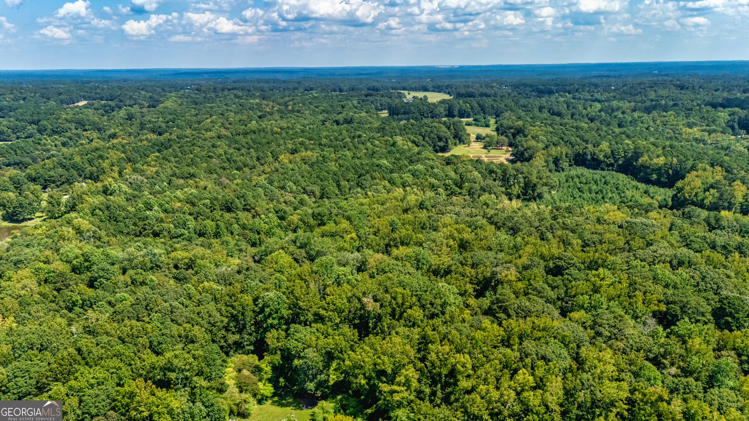 210 Mockingbird Lane Brooks, GA 30205 - Photo 86 of 87