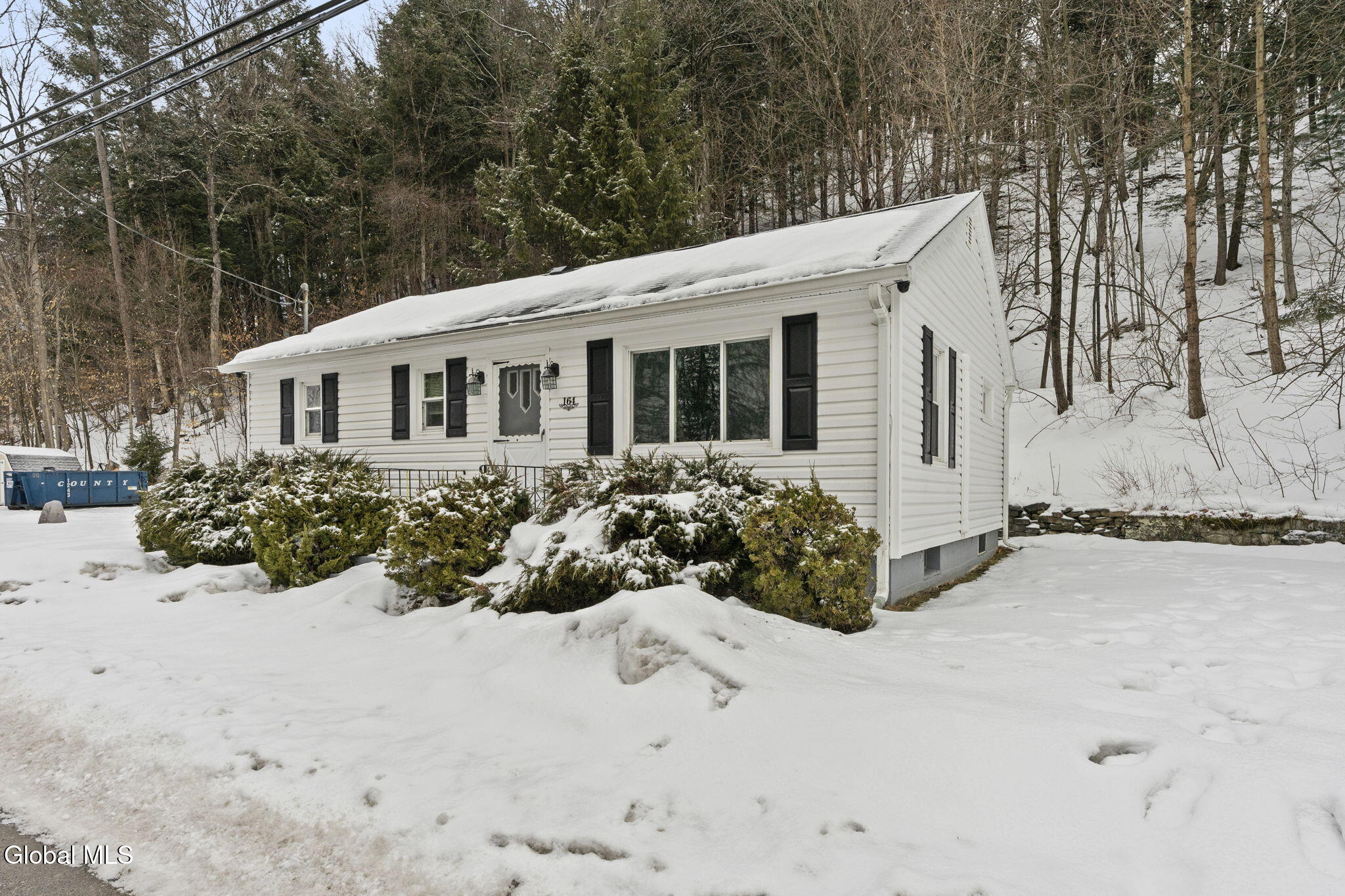 164 Cranes Hollow Road Amsterdam, NY 12010 - Photo 2 of 24 35-web-or-mls-164-cranes-hollow-rd