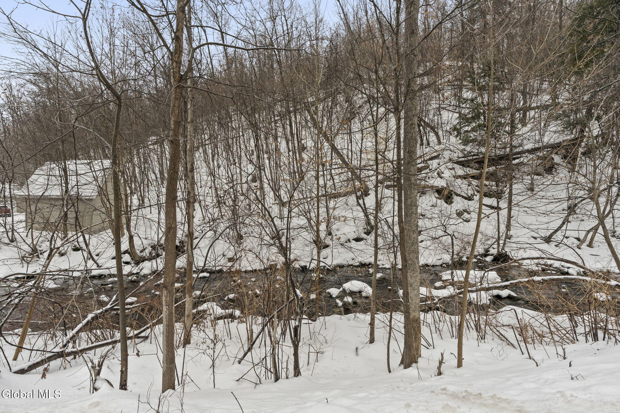 164 Cranes Hollow Road Amsterdam, NY 12010 - Photo 23 of 24 36-web-or-mls-164-cranes-hollow-rd