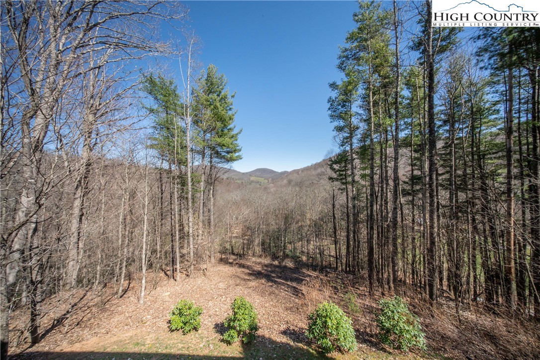 308 Ragan Road Todd, NC 28684 - Photo 12 of 28 Gallery Image 12